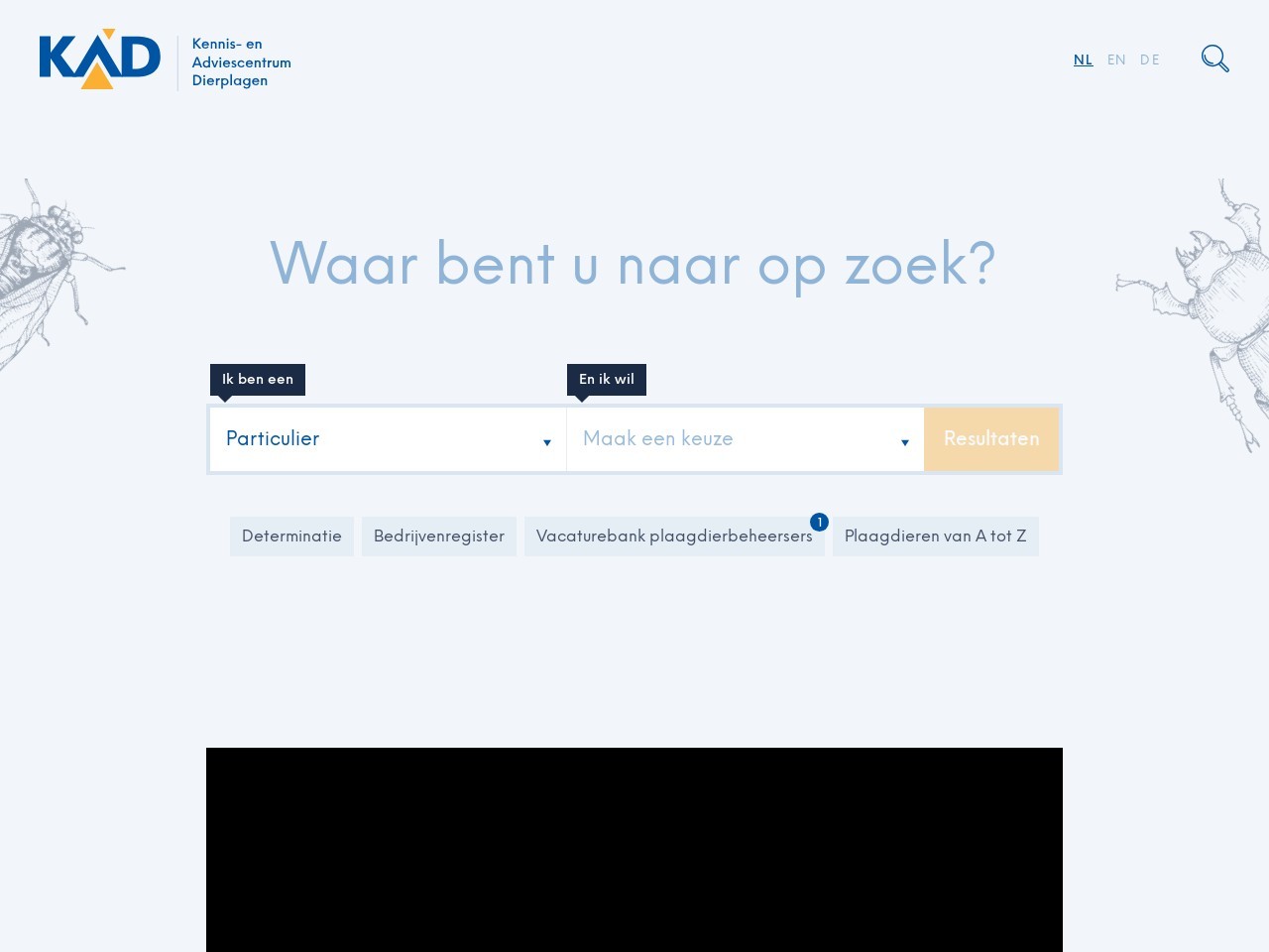 12ff3ba00ed8b2eb834f27c2cef2cf74.webp