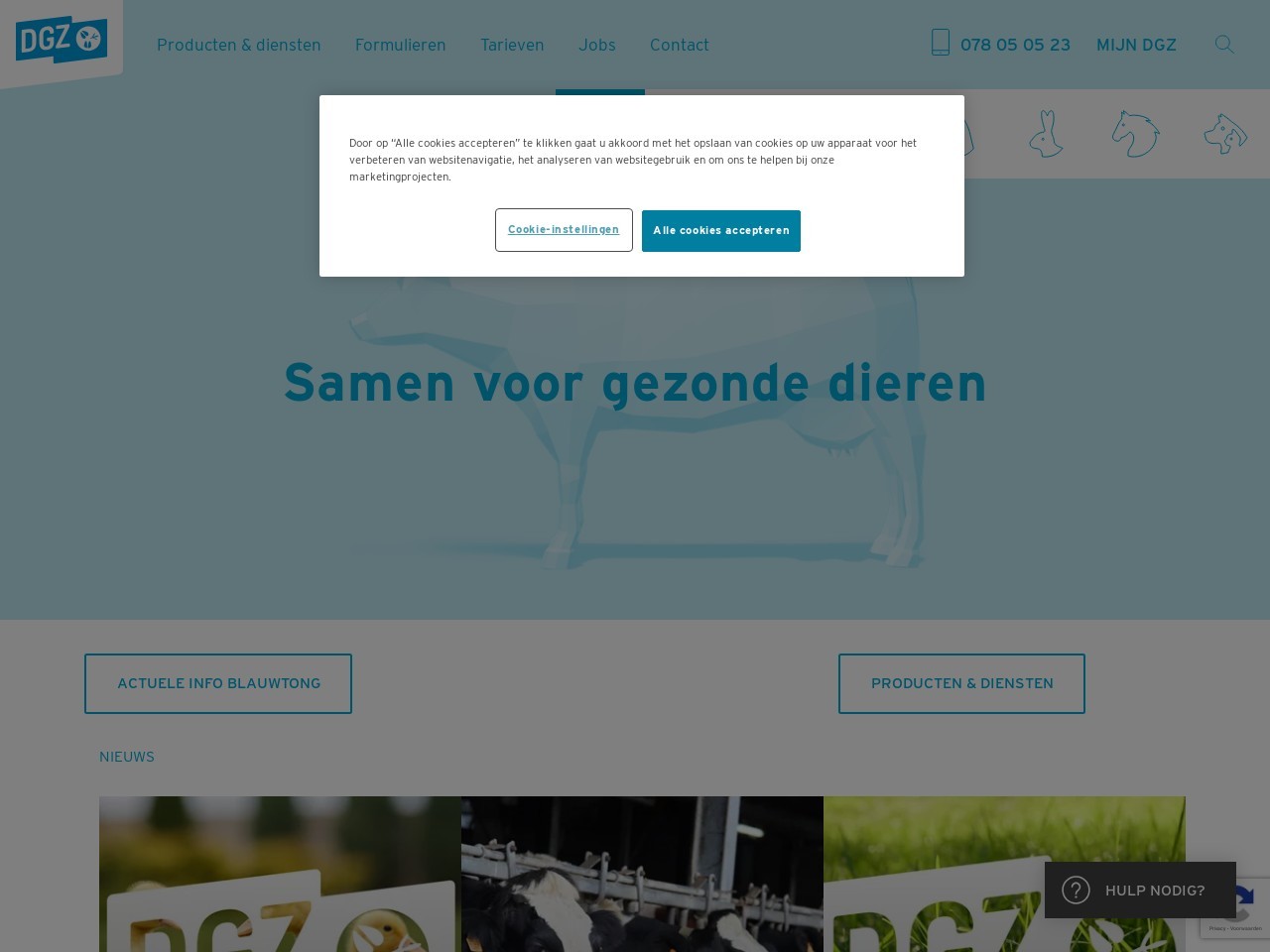 1c9f1dbaa4b335b1183f8ae190556c2a.webp