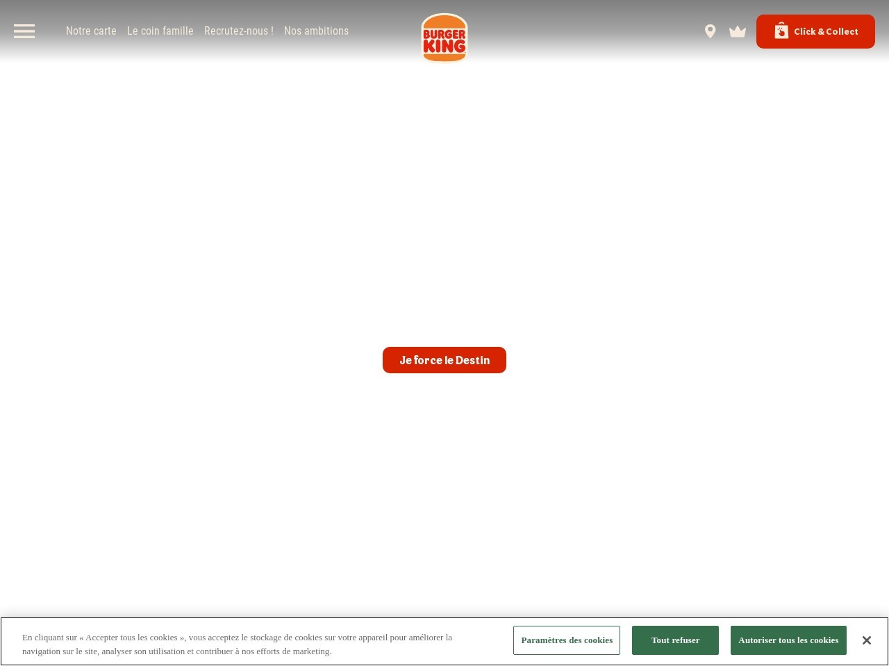 806d6e7e09835494e482242f684f63b5.webp