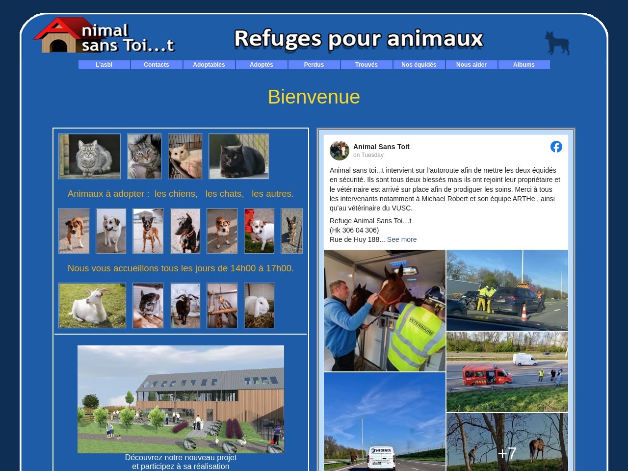 Animal sans toit.be 37264fffbc34fb81cba13b973edbd5aa