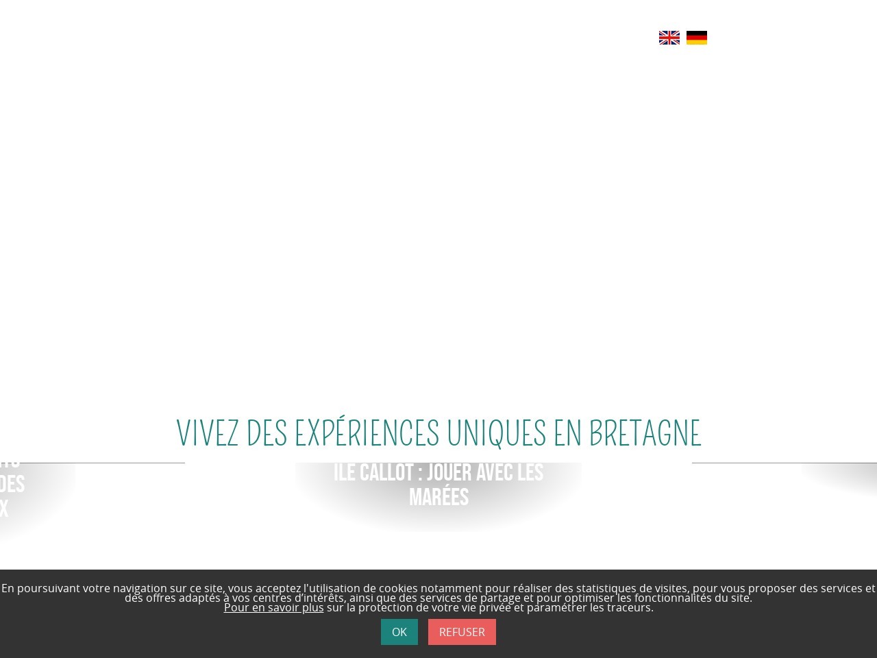 Baiedemorlaix.bzh 75f4dc21fbfc8025c0dc83aa8538f976