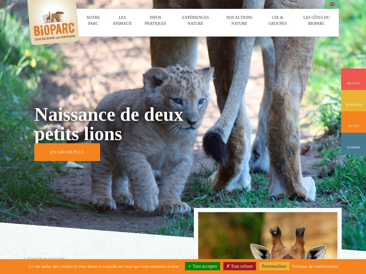 Bioparc zoo.fr 8c5f1643348d8bdff71604016f20fa2b