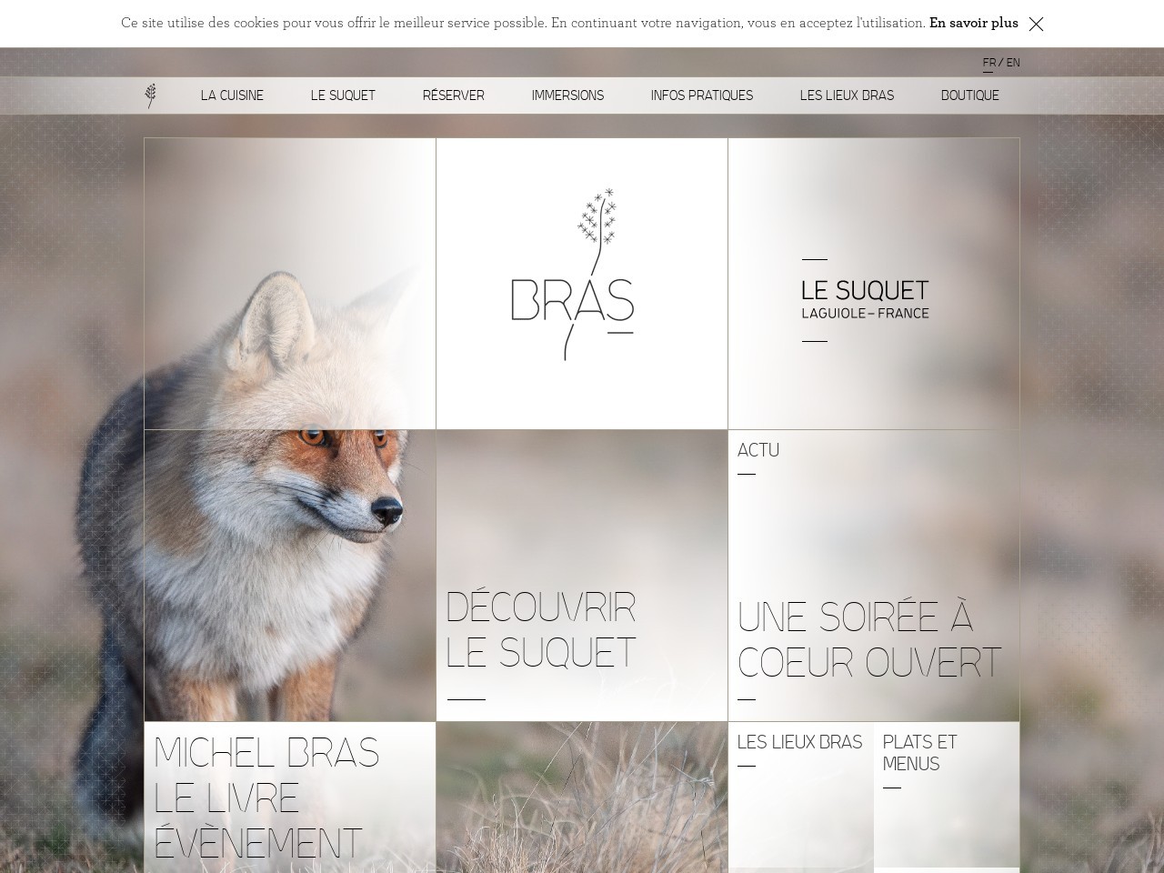 Bras.fr 5fc401cb4ac8ec53af924e37a966ce74