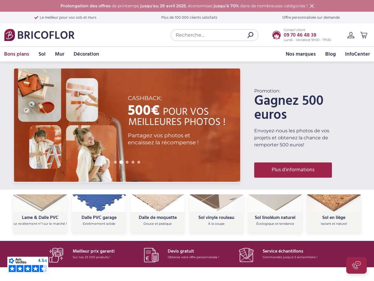 Bricoflor.fr ba9549479b333163cccbd4ecaae88973
