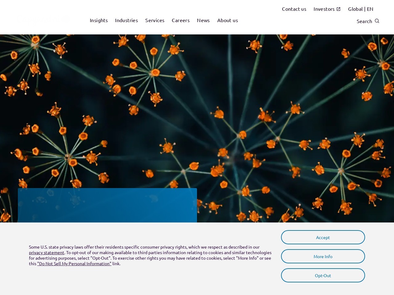Capgemini.com e7d27e5969229b0e977cdd78918dfbde