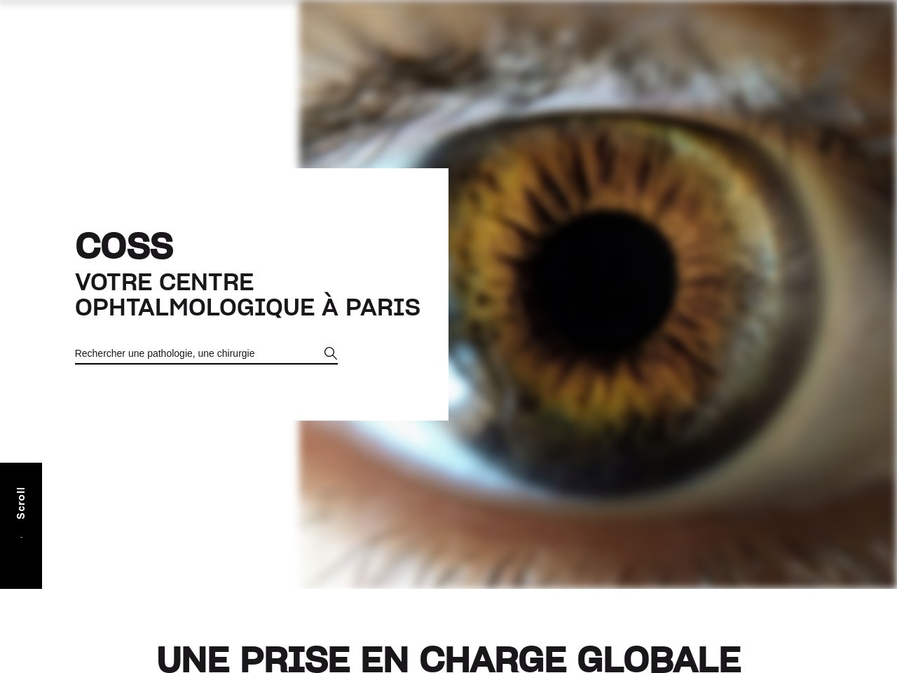 Coss ophtalmologieparis 08434a00c3212bf8ff89e6c5fb28b7c3