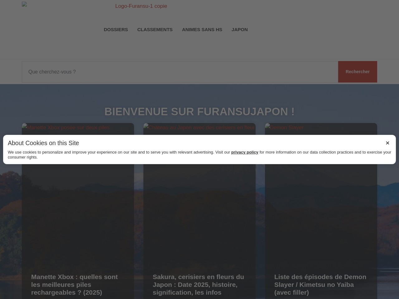 Furansujapon.com 19daf363ff27282c25eb8a02c5508118