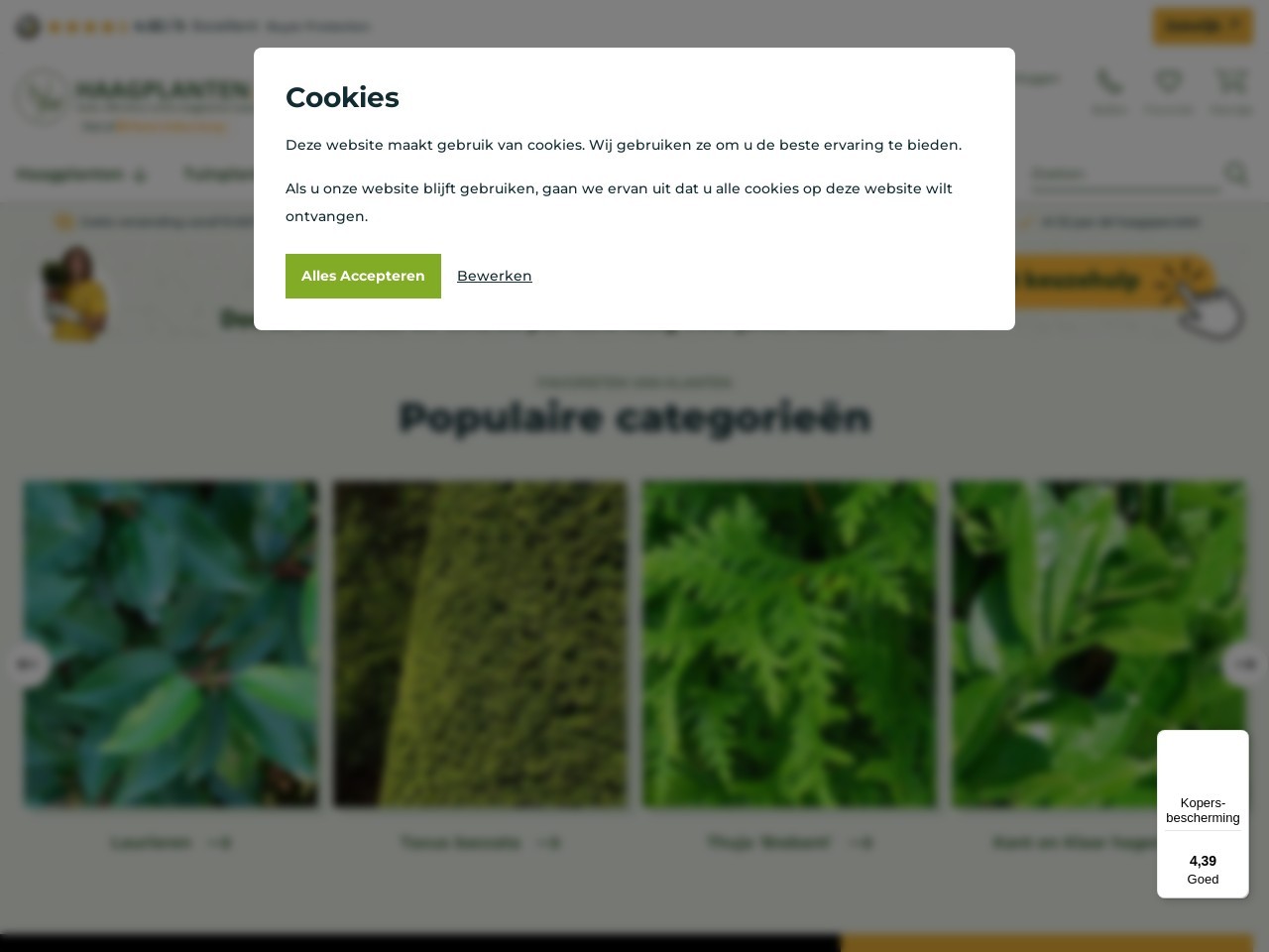 Haagplanten.net 92a4d891ef0d0622808ff26d8ce41bf4