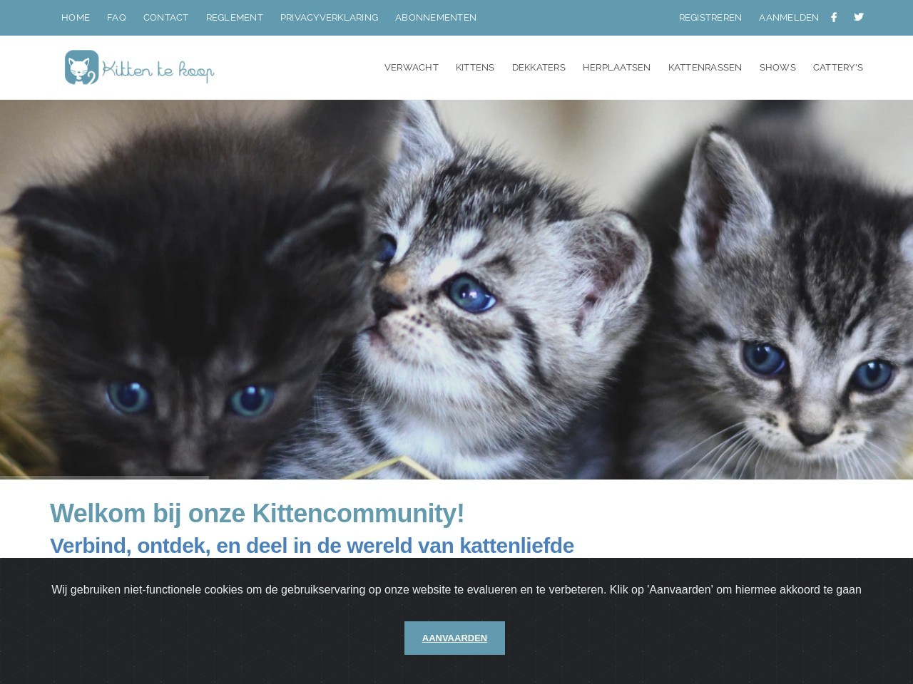 Kittentekoop.be 4bae9f5711361e692494b4d0bc6e2100