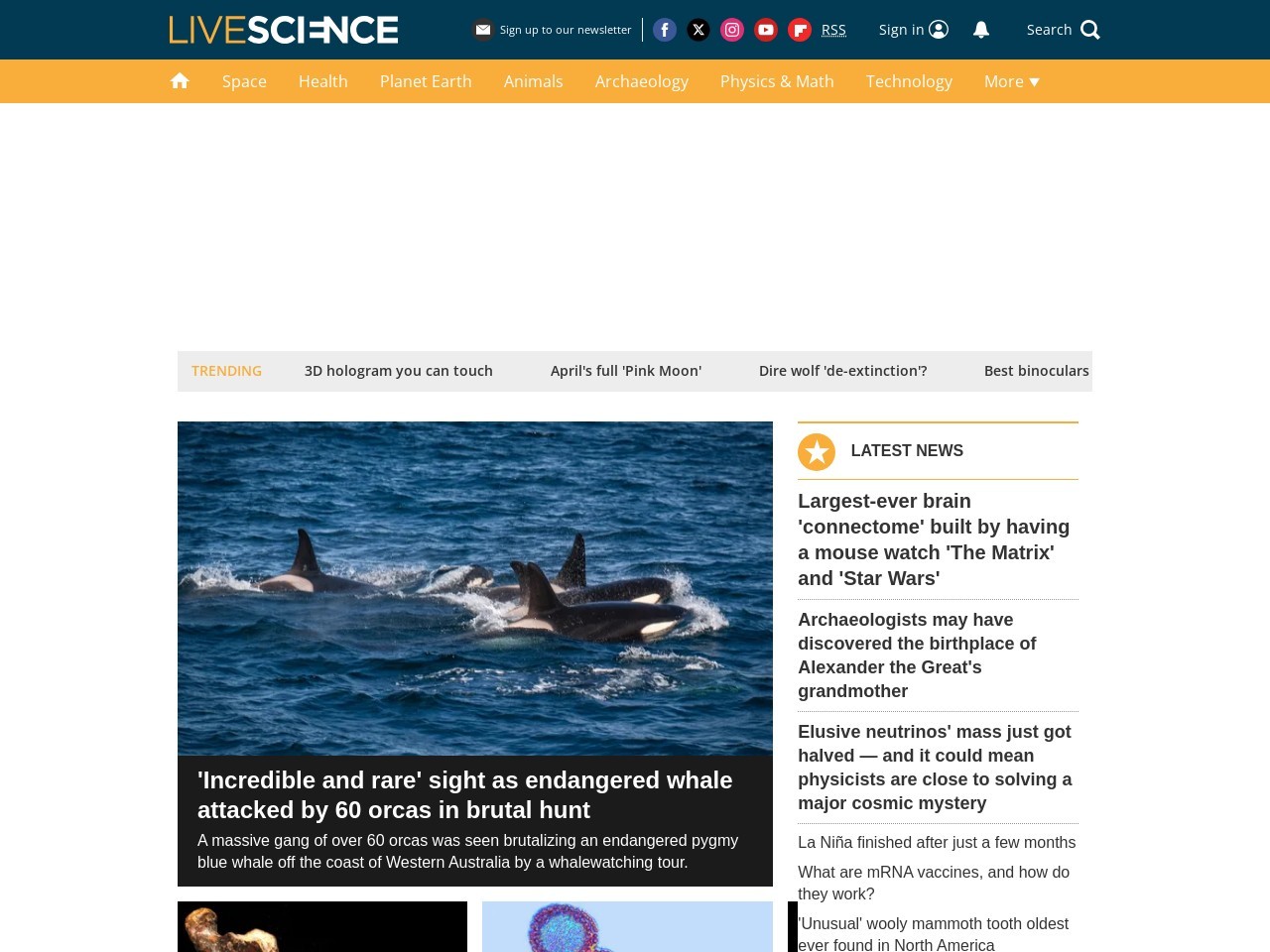 Livescience.com 4a1f48fdb90e8cd997e1d584e970c2c8