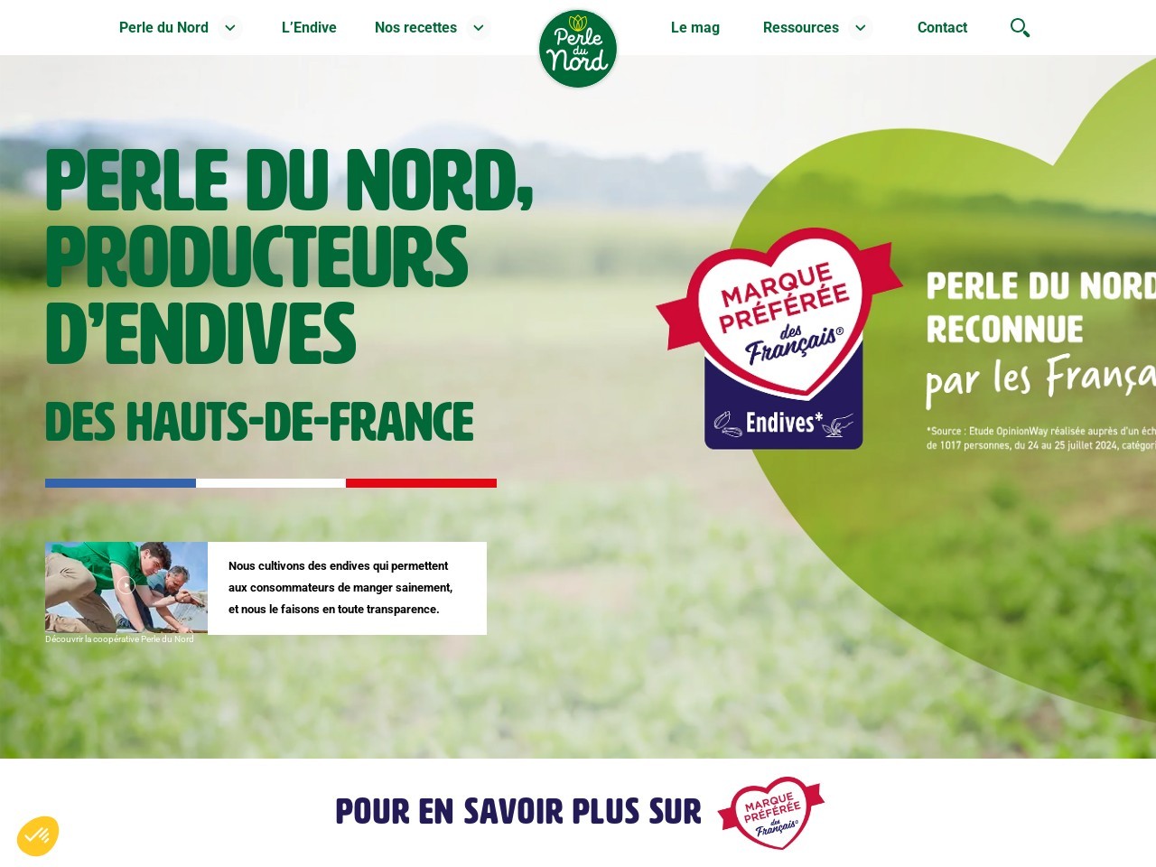 Perledunord.com f14617e01b4ae1ba002333787bf12414