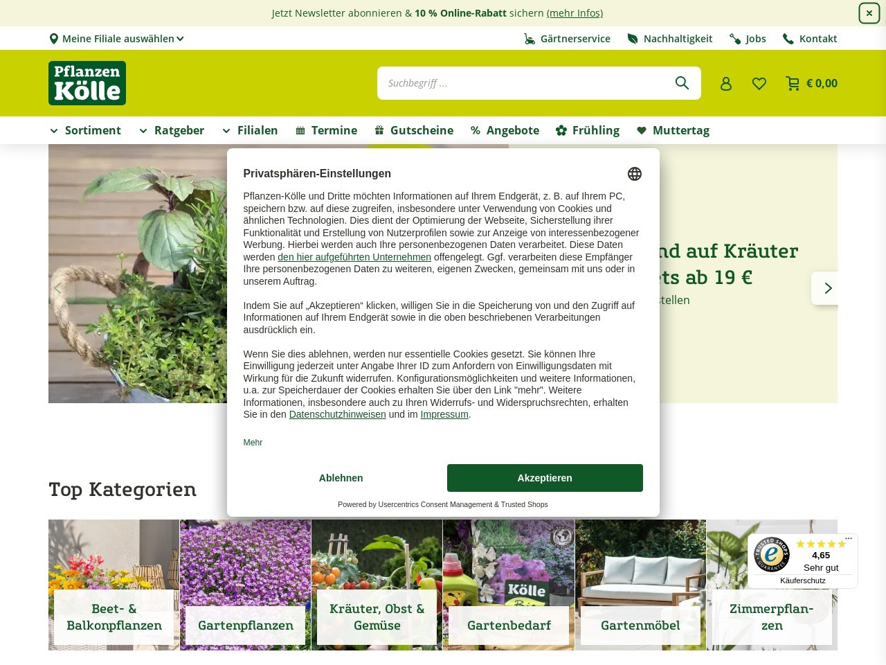 Pflanzen koelle.de b6503974f1b6cdef975e2b65da60b3a5
