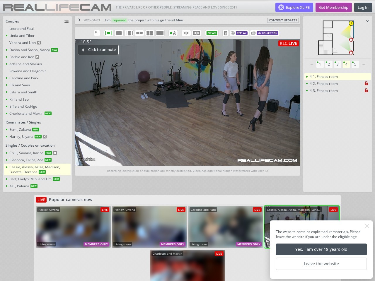 Reallifecam.com c7e27424342f98cfa62d709f4d316da6