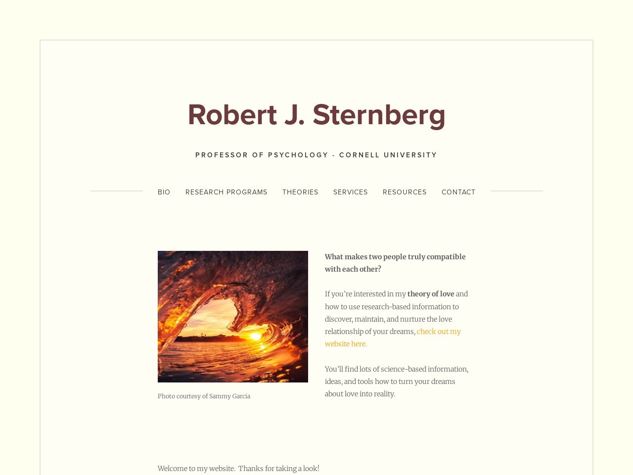 Robertjsternberg.com 8e0beb19d68c345cf622379eb80791d9