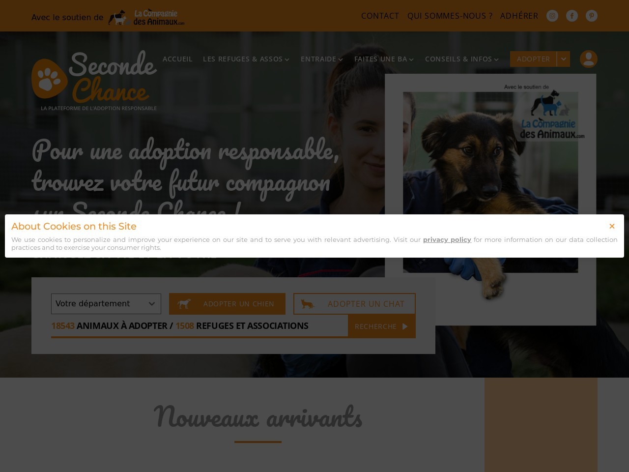 Secondechance.org df521e9fef1d932ca7ab4bff27ad21ce