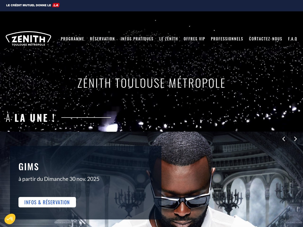 Zenith toulousemetropole.com 9c106cb79c43cafa19a830c69f416676