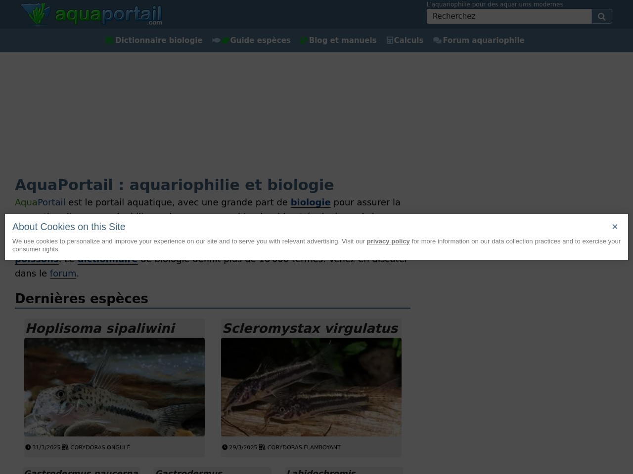 Ab50ef95e1caa91f207074fcec609b20.webp