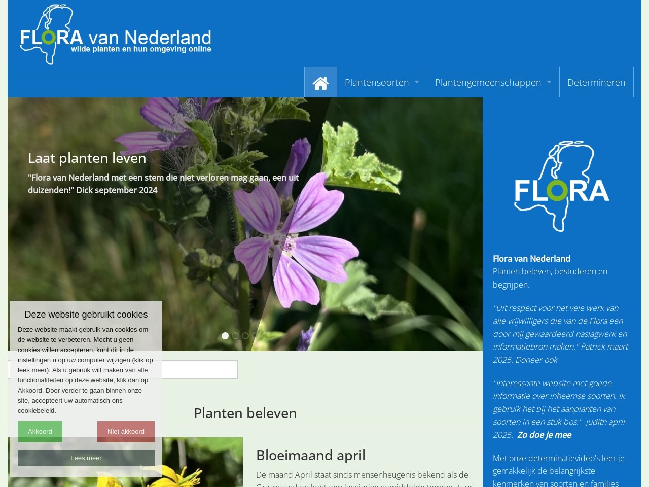 B9ff3d159aa07ec04fd2b29ac6c0f7a2.webp
