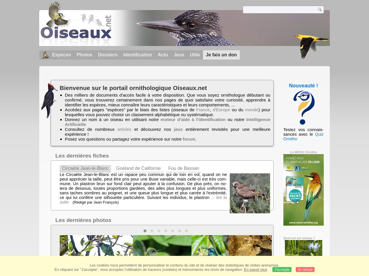 D92056da9d529a4298e9d0224d973639.webp