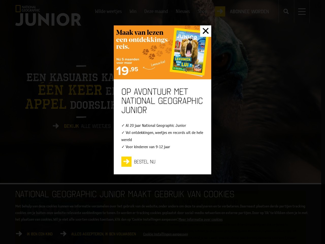 De9449eea236b053874471b8a3b611c0.webp