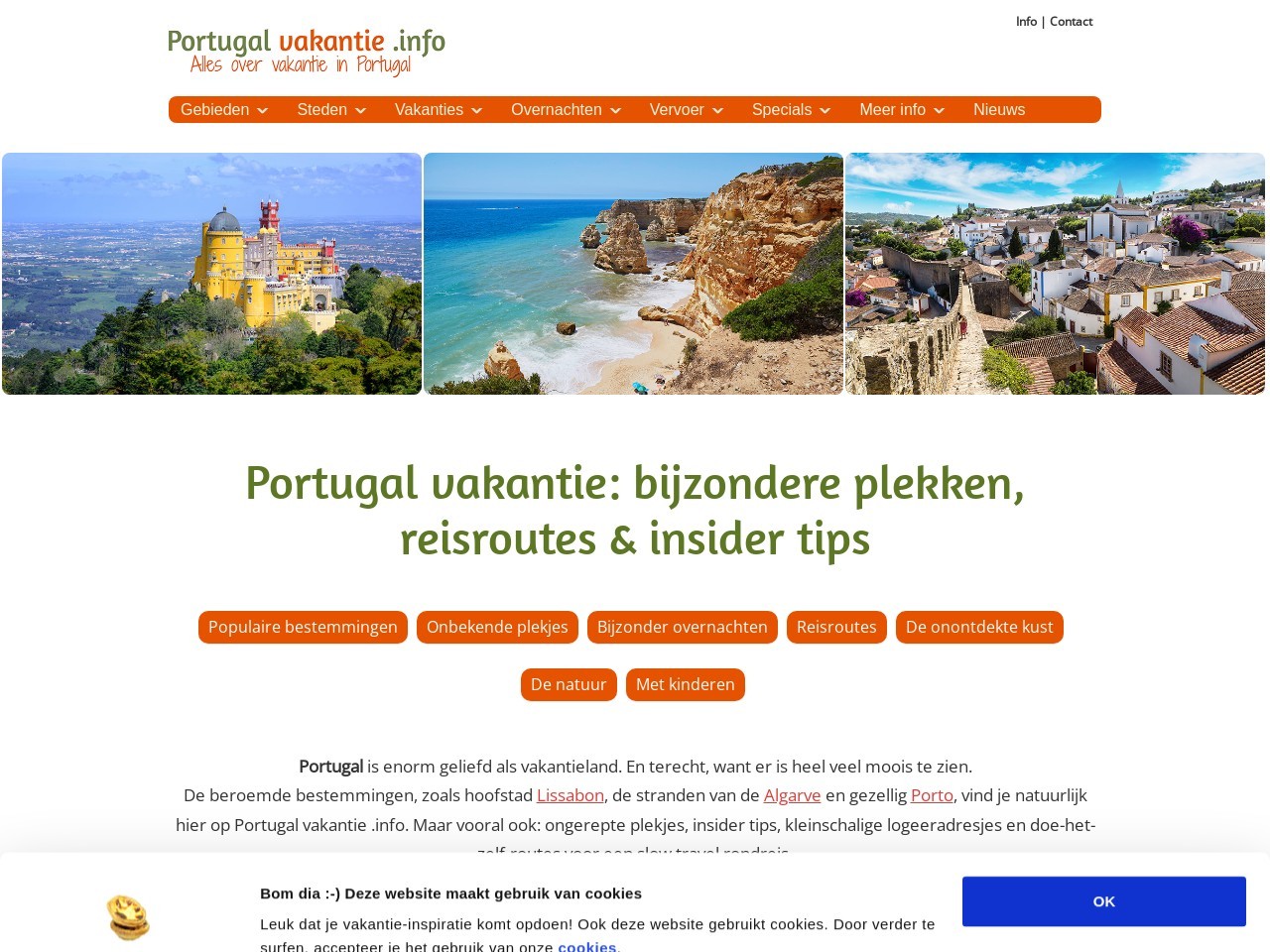 E43381c407adcca37dbd3bf26123dce7.webp